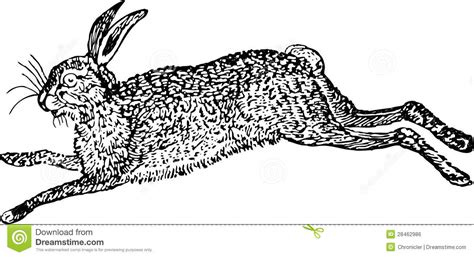 Osterhase, ostern hasen,kaninchen spielzeug geschenk,wohnkultur. Hasen vektor abbildung. Illustration von fahrwerkbeine ...