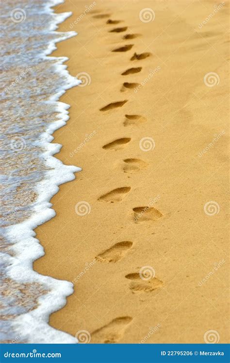 Human Footprints On Sand At The Beach Royalty Free Stock Image Image