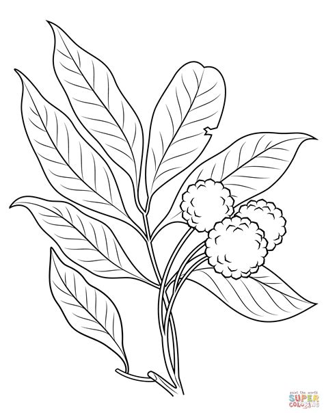 Threw this need olive branch decor was created, making any space a space that feels like home. Olive Branch Coloring Page Coloring Pages
