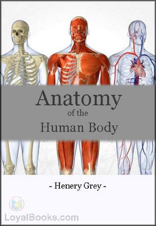 An organ is a unique anatomic structure consisting of groups of tissues that work in concert to perform specific functions. Anatomy of the Human Body by Henry Gray - Free at Loyal Books