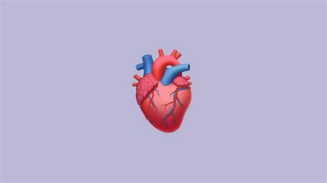 Emoji Coração Humano De Iphone Para Copiar E Colar