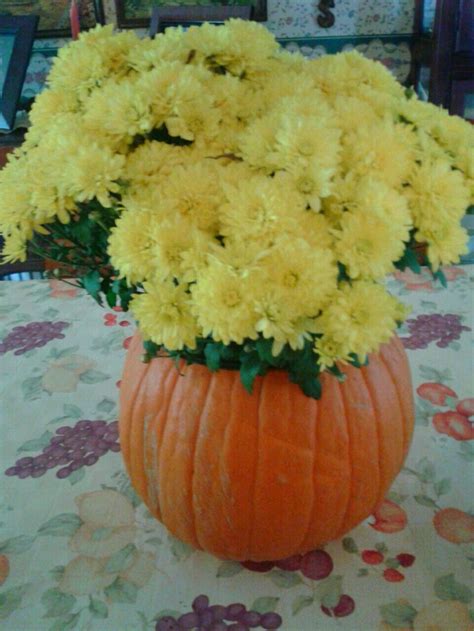 Yellow Mum Flowers In Pumpkin Centerpiece Pumpkin Centerpieces Halloween Pumpkins Mums Flowers