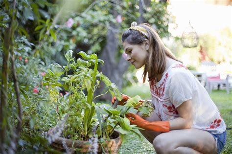 Dreamstime is the world`s largest stock photography community. Gardening, Landscaping, and Groundskeeping Skills