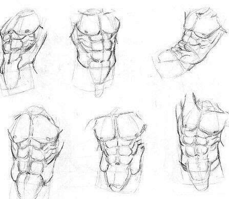 Symetry On Abs Anatomy Sketches Anatomy Drawing Human Anatomy Art