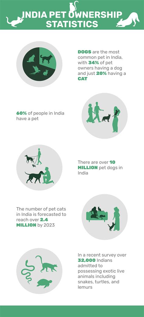 14 India Pet Ownership Statistics To Know In 2023 Pet Keen