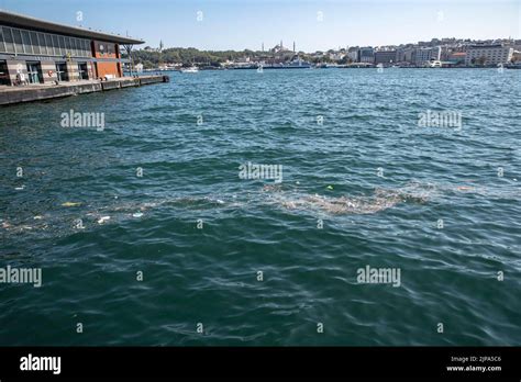 Nach Heftigem Regen Und Einem Sturm In Istanbul Schwebt Auf Der