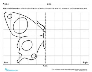 lines  symmetry worksheet  grade  worksheet