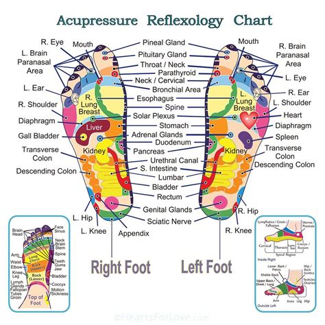 Acupressure Points Chart For Hands And Feet