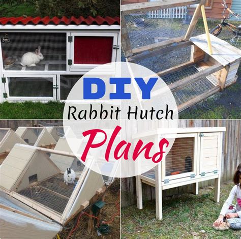 Free Diy Rabbit Hutch Plans 56 Off Vn