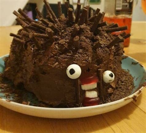 can anyone actually make a hedgehog cake correctly it appears not 25 pics