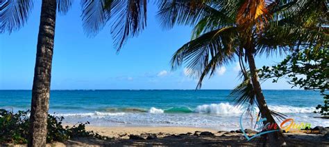 Ocean Park Beach San Juan Puerto Rico Must Read For Tourists