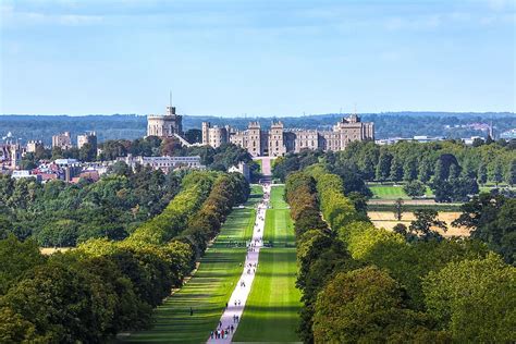 Hd Wallpaper Aerial View Of Green Leafed Trees During Daytime Windsor