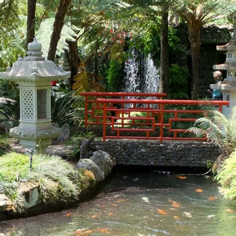 18 Mystical Japanese Pond Design Ideas 2024 Pond Informer