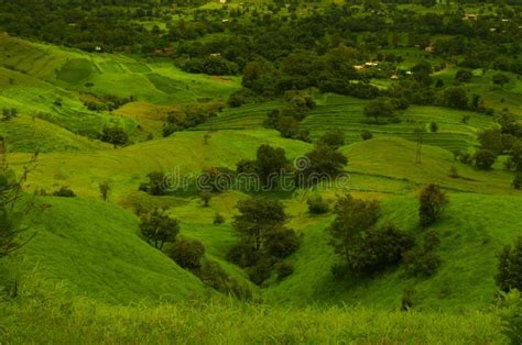 Green Fields On A Mountain Slope 3 Stock Photo Image Of Mountain