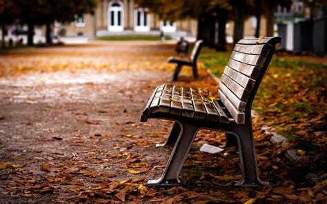 Bench Hd Wallpaper Background Image 1920x1200