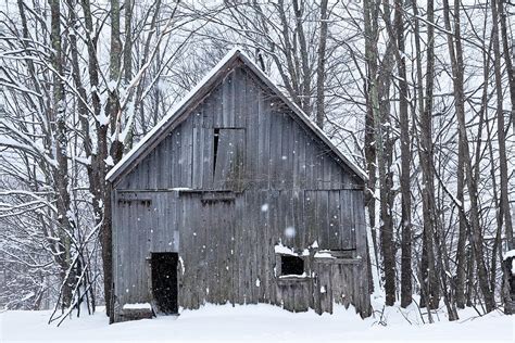 Old Barn In Winter Woods Photograph By Alan L Graham Fine Art America