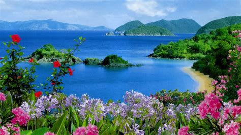 10++ Hd Nature Wallpapers For Laptop 1366x768 Free Download - Basty