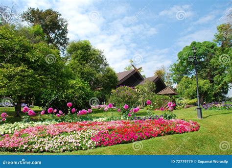 Beautiful Peaceful Garden Stock Photos Download 68278 Royalty Free