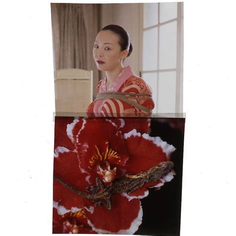 Hana Kinbaku Unique Diptychs Nobuyoshi Araki Exhibition At Michael Hoppen Gallery In London