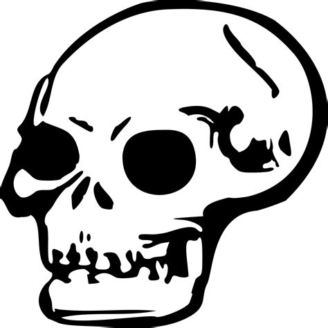Free Images - skull 2 svg