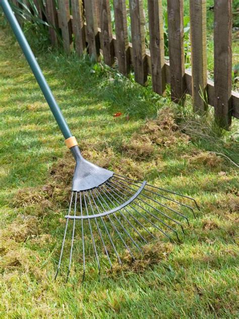 There are several ways to dethatch a lawn. What is Verticutting?: Why does my lawn need Verticutting/