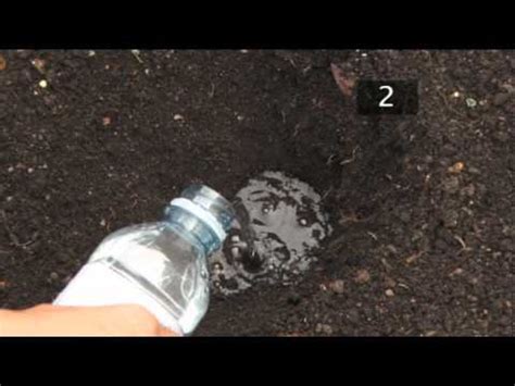 One type has paper strips with different color codes at different ph ranges; How To Test Soil PH - YouTube