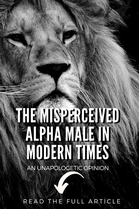 The Misperceived Alpha Male In Modern Times Alpha Male Alpha Male