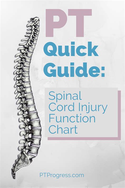 The most common causes of infarction are vertebral. Spinal Cord Injury Level Quick Reference