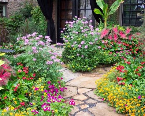 Texas Native Plants Design Ideas Pictures Remodel And Decor Texas