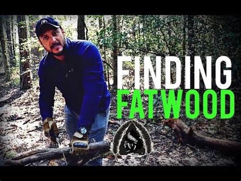 It's usually pretty cheap there. How to Find Fatwood- Quick Tip - YouTube