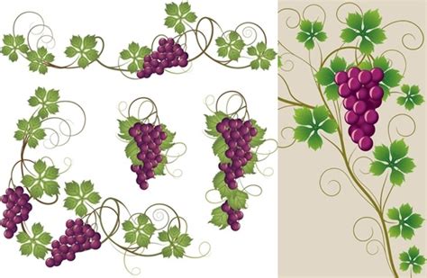 Grape Leaves Free Vector Download 3706 Free Vector For Commercial