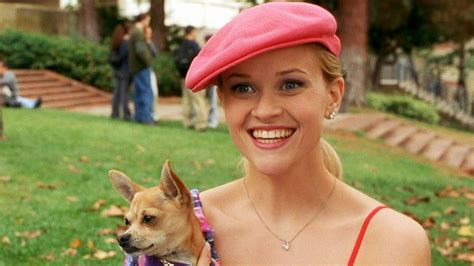 ‘legally Blonde 3 Everything We Know About Elle Woods Return Entertainment Tonight