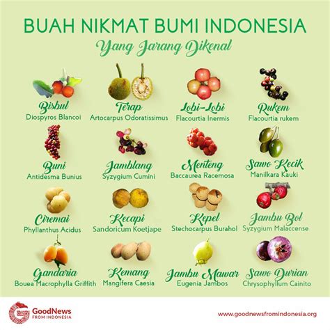 Gambar Buah Buahan Yang Ada Di Indonesia Benjamin Sutherland