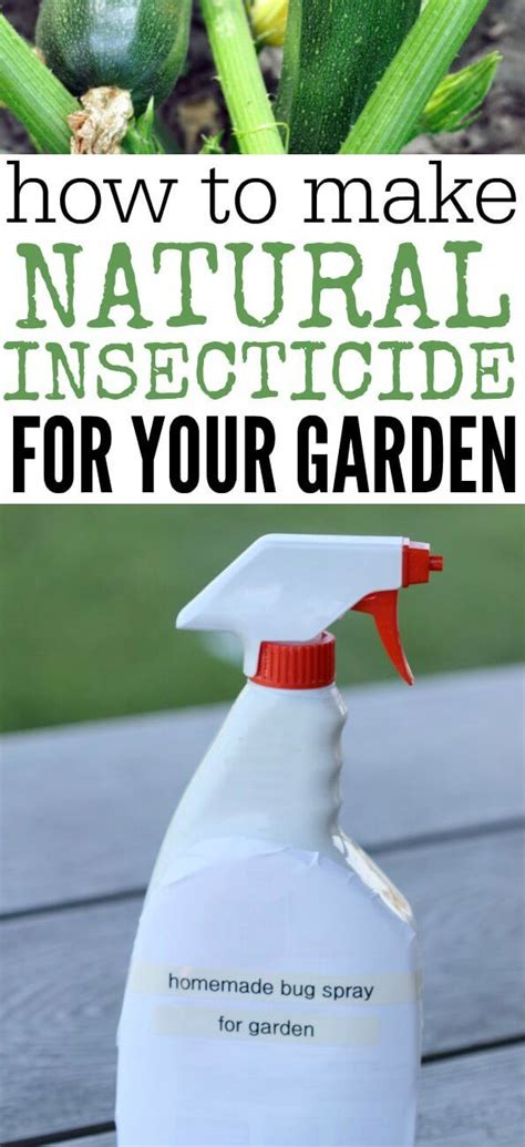 How To Make Homemade Insecticide All Natural Pesticide Homemade