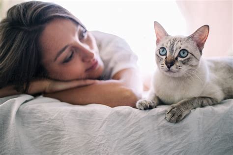 Real Love Cute Girl Looking At Her Beautiful Cat PorJovo Jovanovic