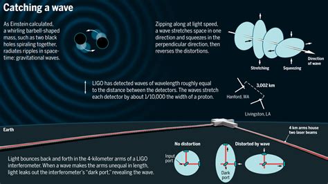 Gravitational Waves Einsteins Ripples In Spacetime Spotted For First