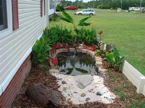 Diy Turtle Pond ~ Pictorial No Instructions Turtle Homes Turtle