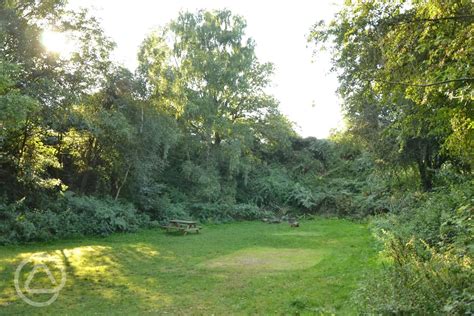 Dreamy Hollow Woodland Campsite And Ww Trenches In Kings Lynn Norfolk Book Online Now