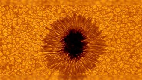Scope Sees New Details In Sunspot Bigger Than Earth Fox News