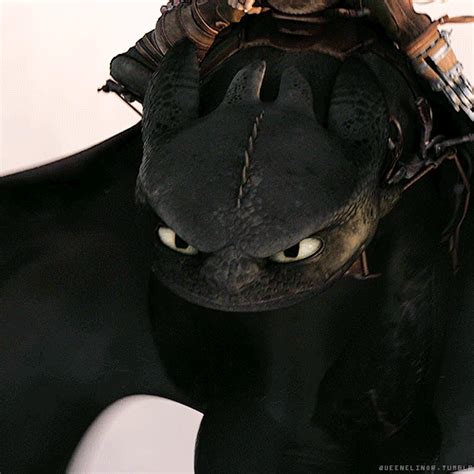 Somebody S Angry Httyd Hiccup And Toothless Httyd Dragons Dreamworks Movies Dreamworks