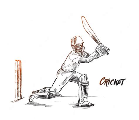 Premium Vector Concept Of Batsman Playing Cricket Championship Line