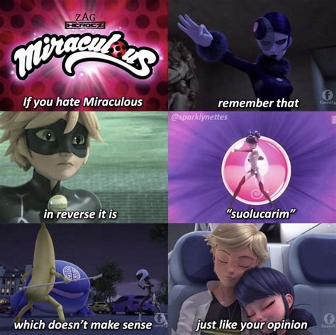 Pin By Crystal Marie On Miraculous Miraculous Ladybug Memes