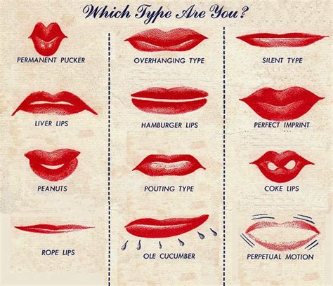 lip shape chart for men a guide to masculine lip shapes and styles dona