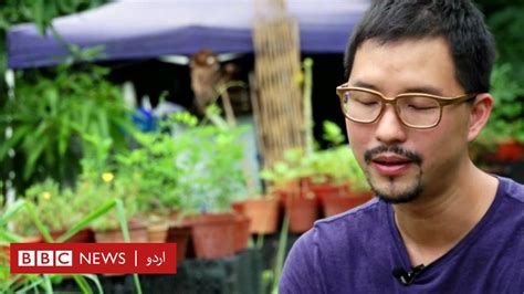 سنگاپور میں چھتوں اور فٹ پاتھوں پر سبزیاں اگانے کا منصوبہ Bbc News اردو