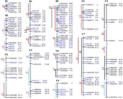 Dense Genetic Linkage Map Showing The Localisation Of The Qtl Download High Quality