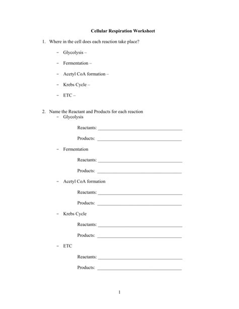 Cellular respiration worksheet