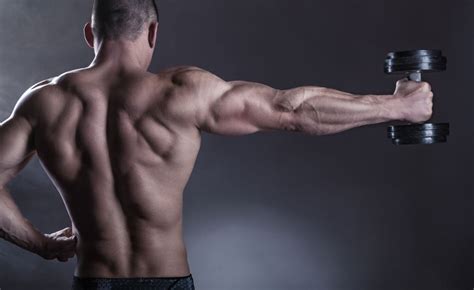 5 Best Tricep Exercises To Increase Upper Arm Strength Transparent Labs