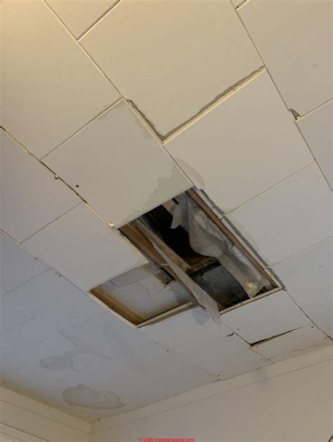 What Are The Different Types Of Ceiling Tiles