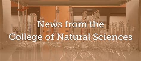 News College Of Natural Sciences Colorado State University