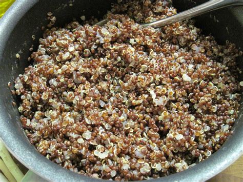 Cooking with Quinoa | Taking Time to Smell the Roses